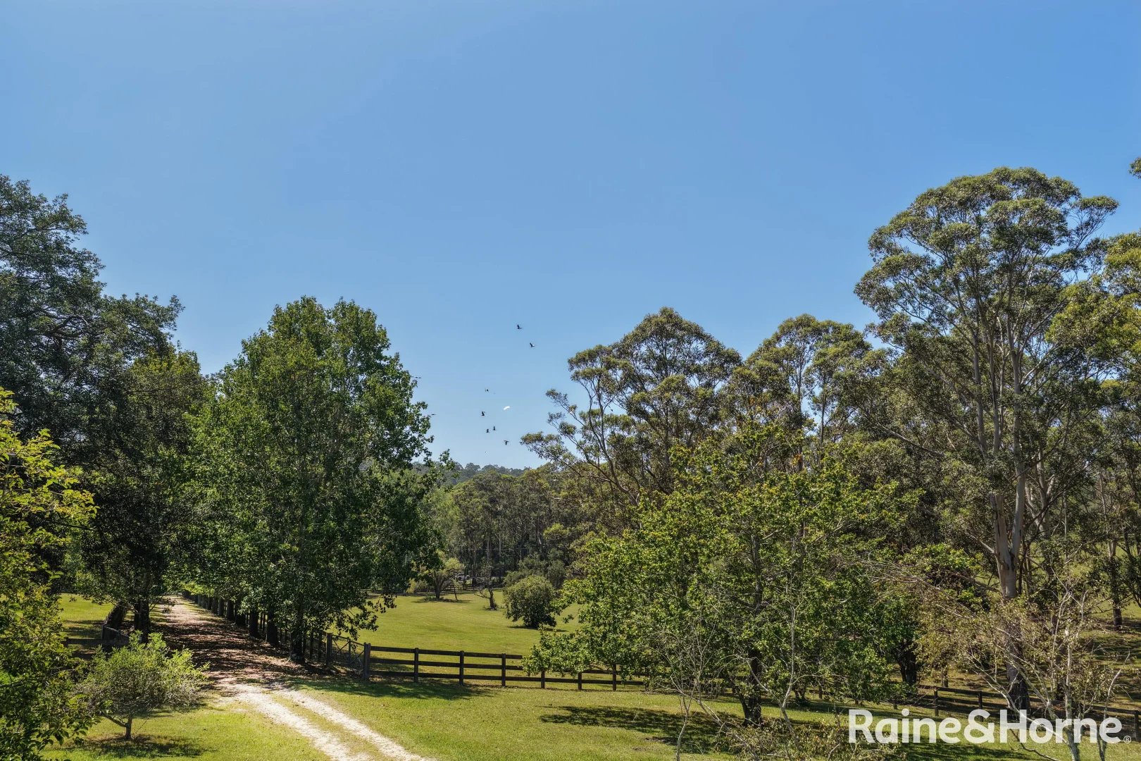 Additional image 14 of 56 Bawley Point Road, Termeil NSW 2539