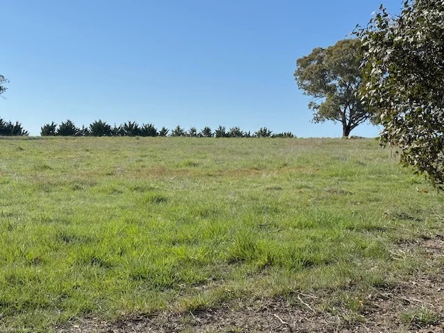 Additional image 23 of 1695 Gurrundah Road, Parkesbourne NSW 2580