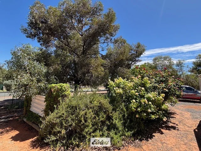 Additional image 29 of 9-11 Tarcoola Street, Pooncarie NSW 2648