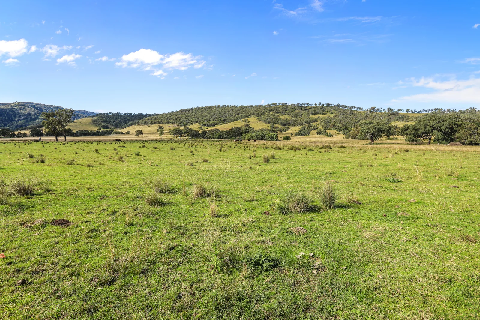 Additional image 7 of 260 Mareeba Road, Scone NSW 2337