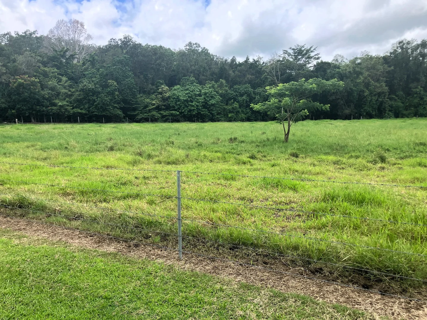 Additional image 20 of 24 Paskins Road, Yalboroo QLD 4741