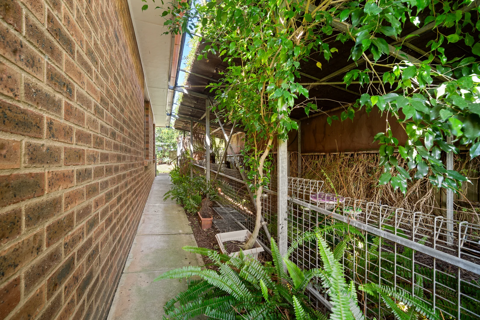 Additional image 19 of 5 Glenvale Place, Bourkelands NSW 2650