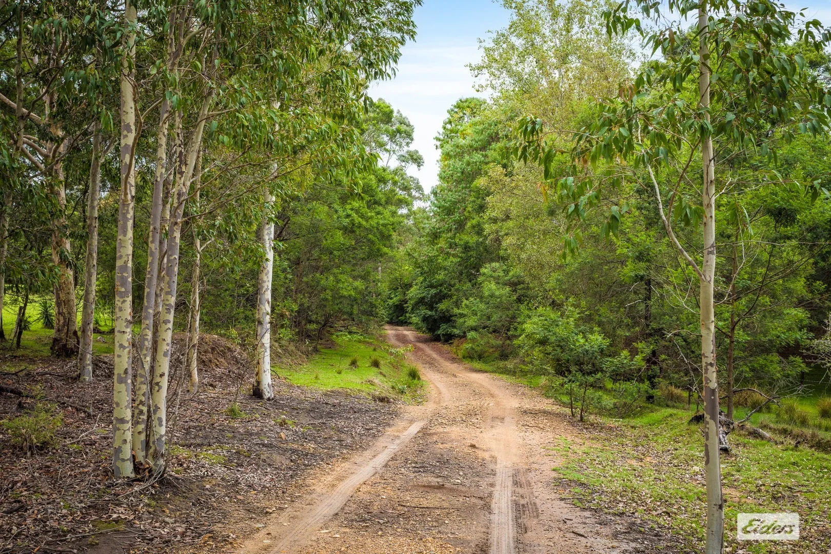 Additional image 3 of 107 Red Gum Road, Yellow Pinch NSW 2548