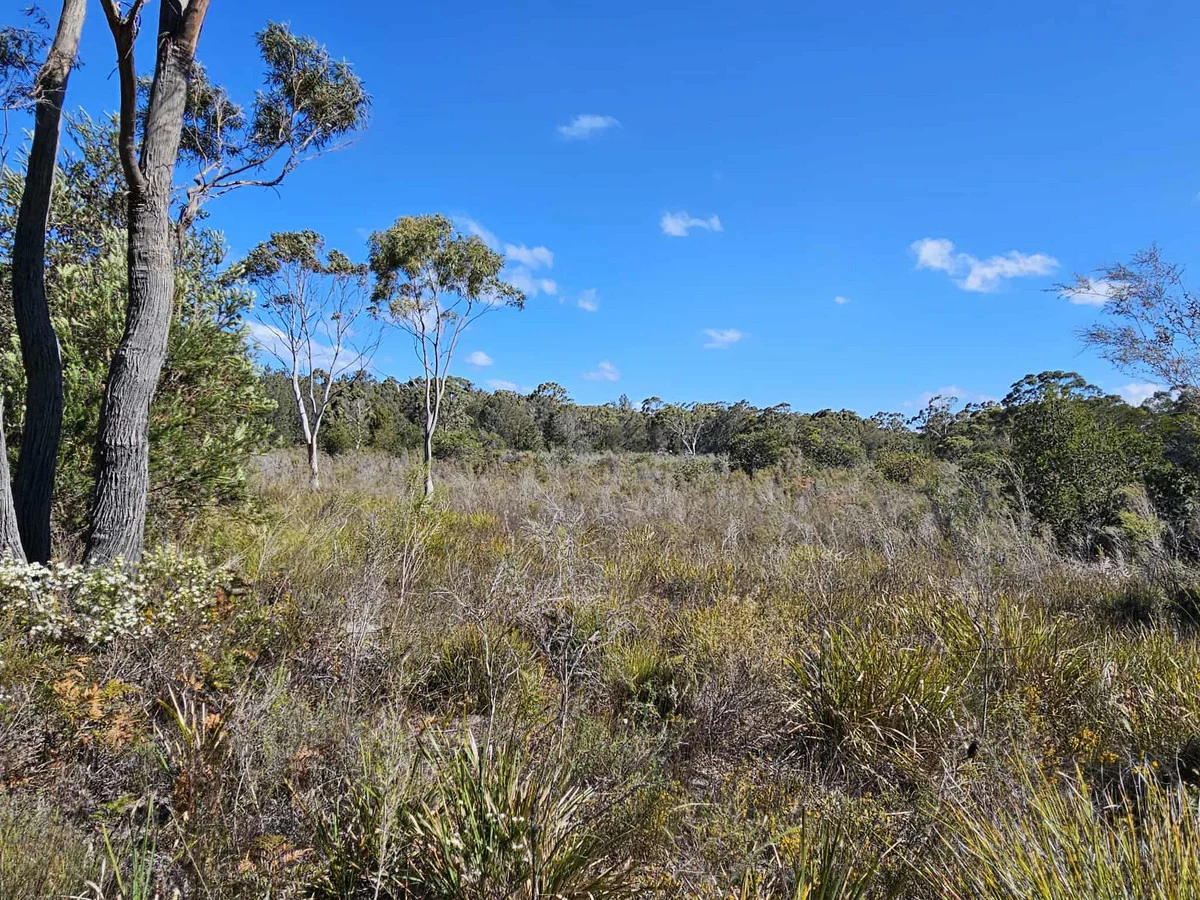 Additional image 2 of 1434 Coles Bay Road, Coles Bay TAS 7215