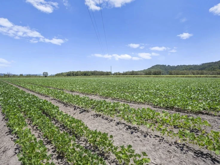 Additional image 16 of McAuleys Road, Murwillumbah NSW 2484