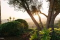 Additional image 66 of 5703 Catherwood Dr, La Canada Flintridge, CA, 91011