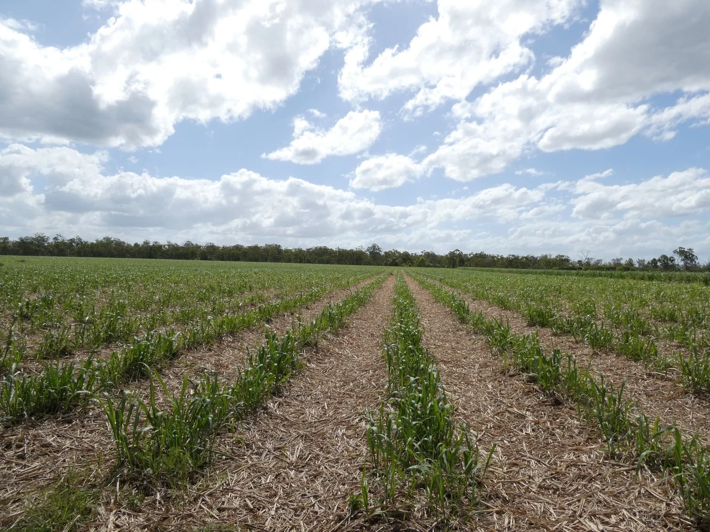 Additional image 15 of 3392 Childers Road, Gregory River QLD 4660