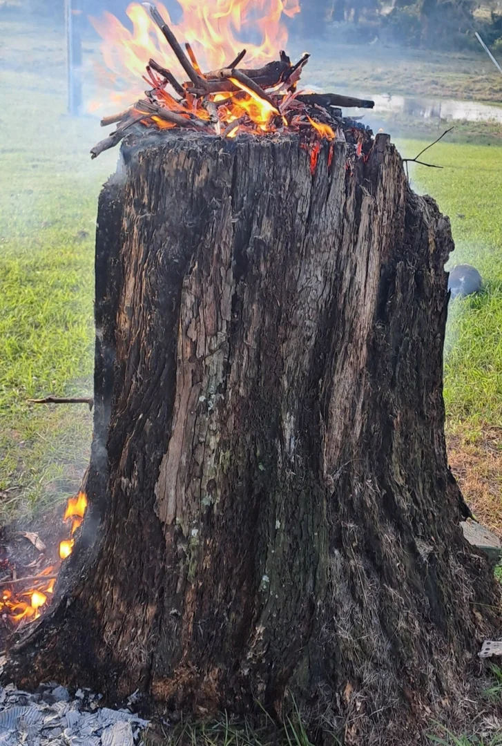 Additional image 33 of 495 Upper Stratheden Road, Kyogle NSW 2474