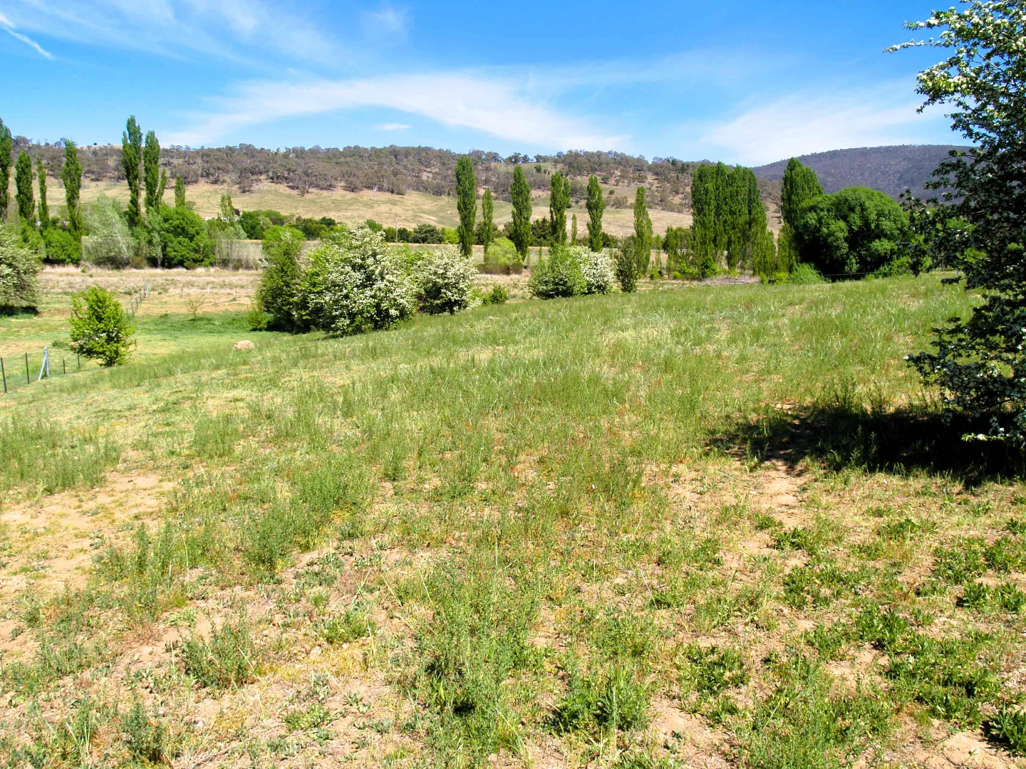 Additional image 5 of 28 Ryrie Street, Michelago NSW 2620