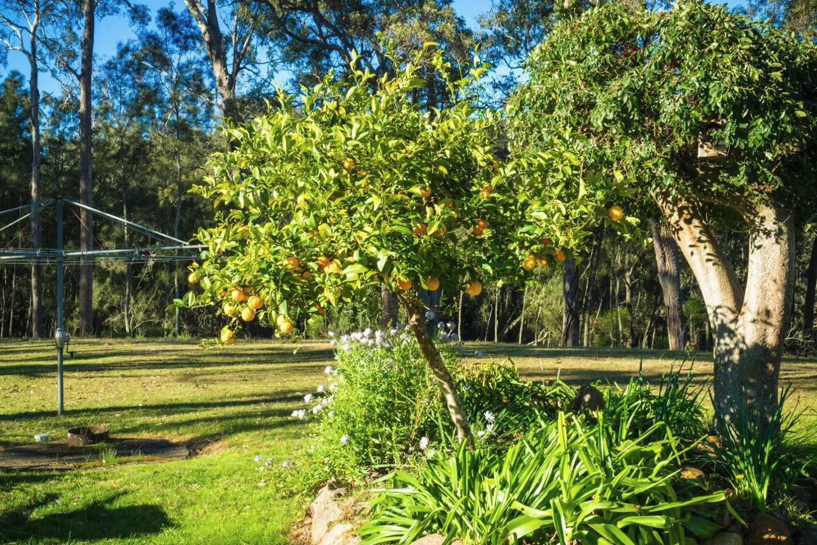 Additional image 10 of 950 Wagonga Scenic Drive, Narooma NSW 2546