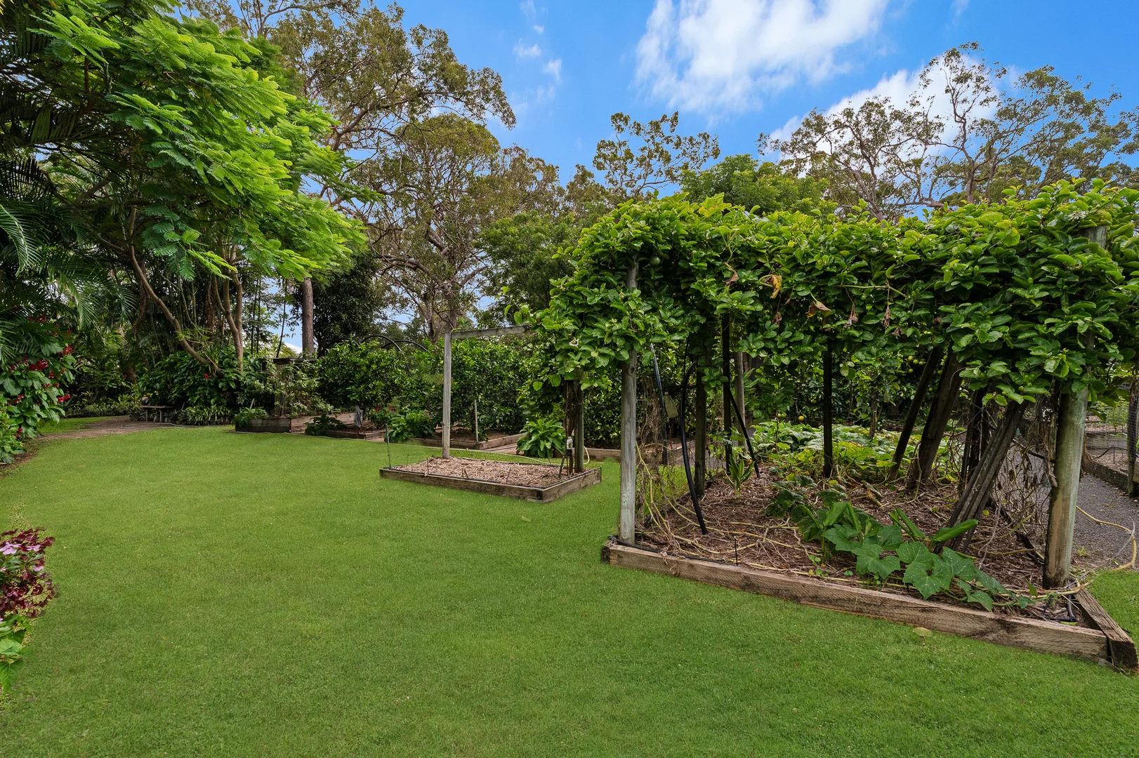 Additional image 24 of 19 Brooke Court, Oakhurst QLD 4650