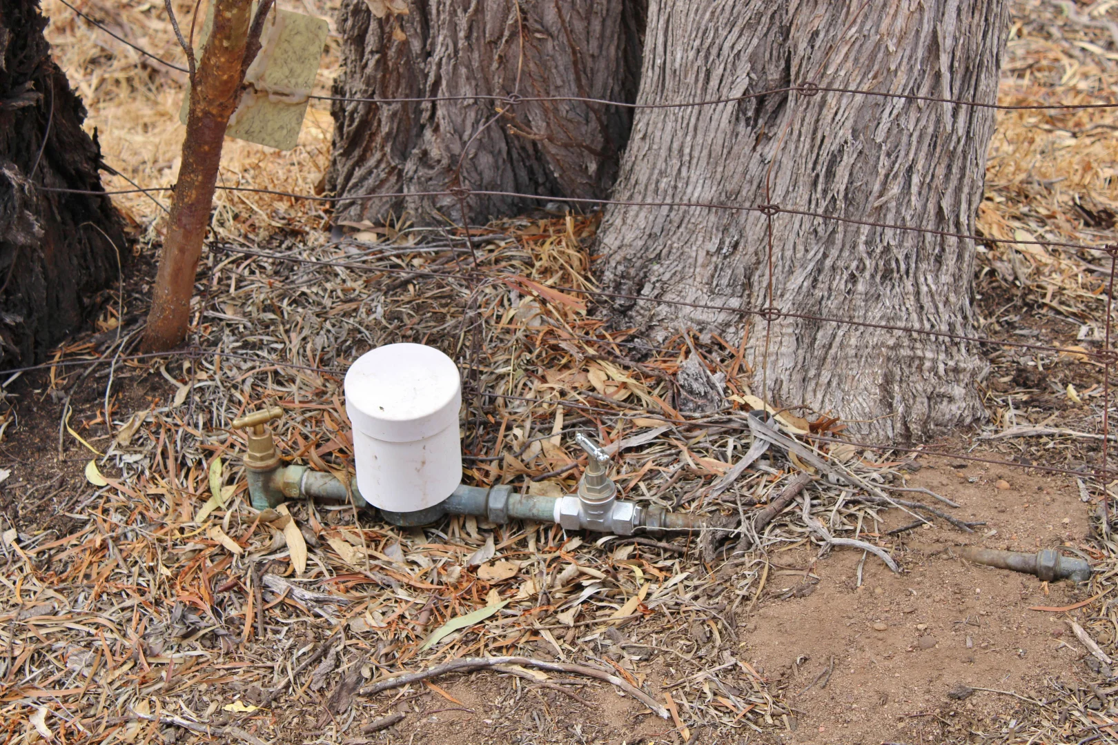 Additional image 30 of 95 CAMPBELL STREET, Cuballing WA 6311