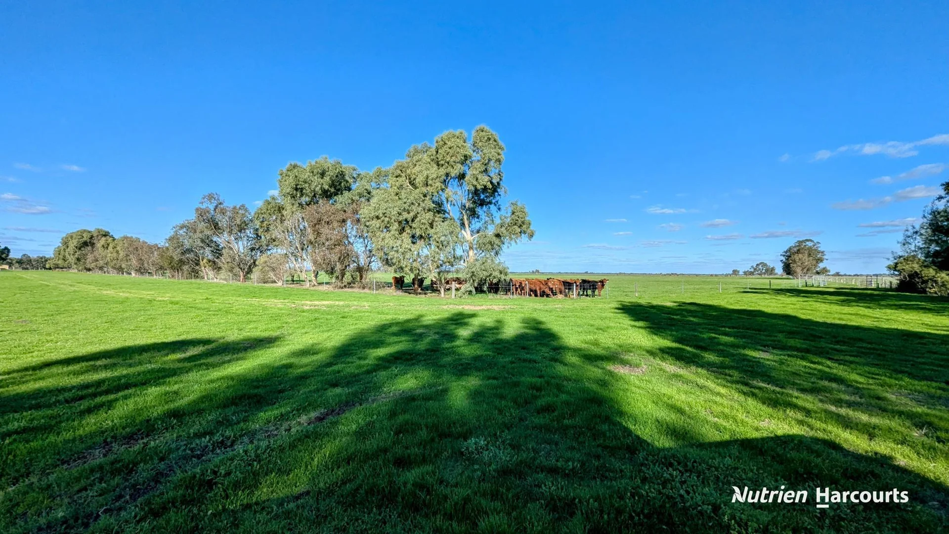 Additional image 40 of 271 Mayfield Road (Beermullah), Gingin WA 6503