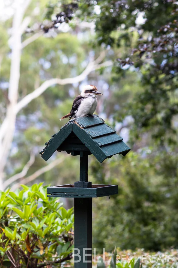 Additional image 19 of 35 Grantulla Road, Kallista VIC 3791