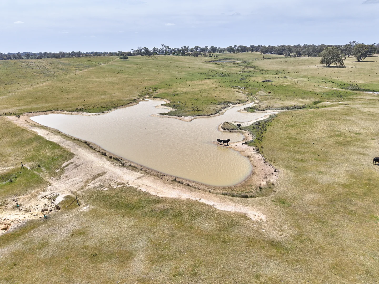 Additional image 40 of 211 Drummonds Lane, Heathcote VIC 3523