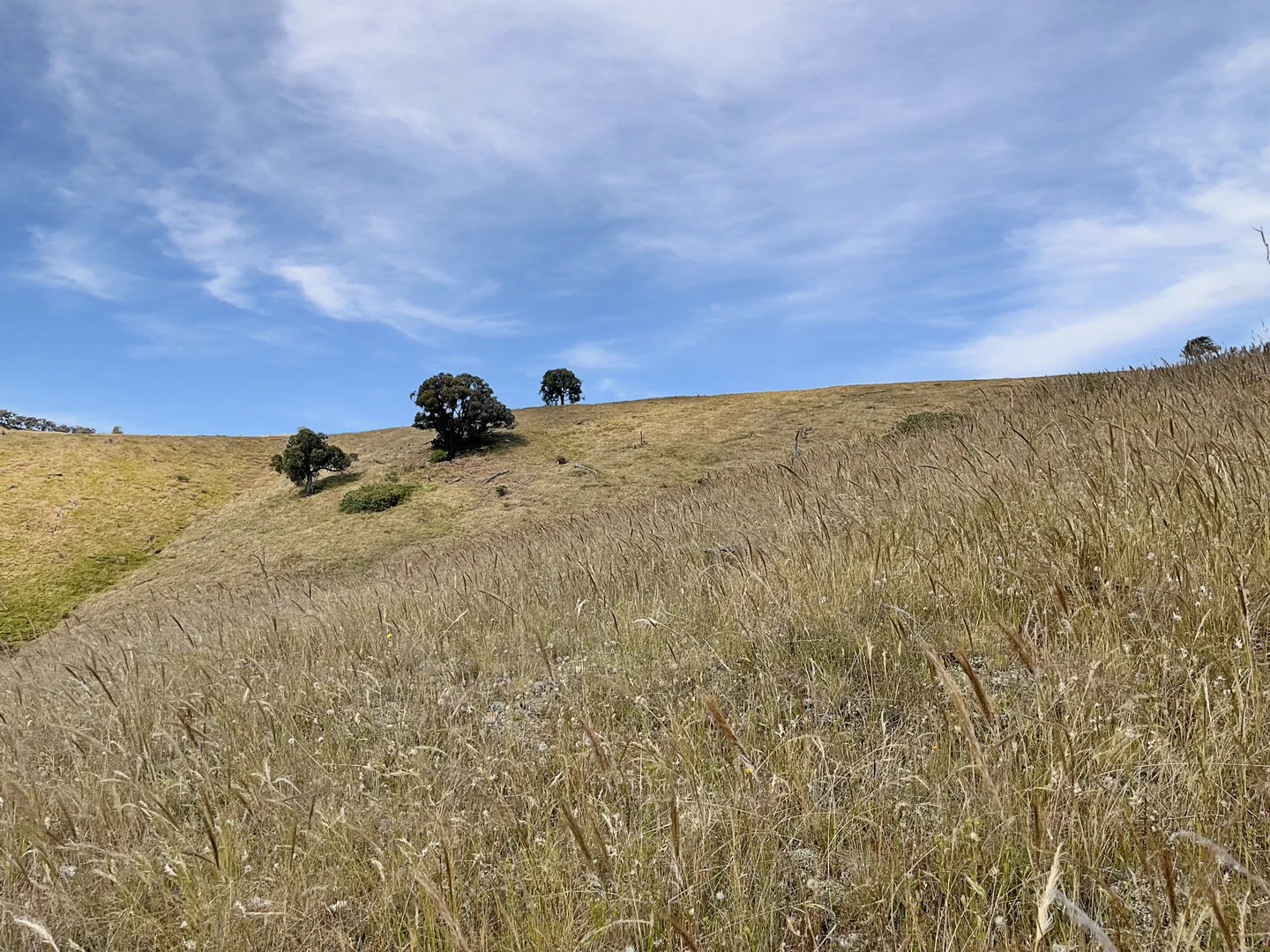 Additional image 8 of Mount Darling Road, Wyangala NSW 2808