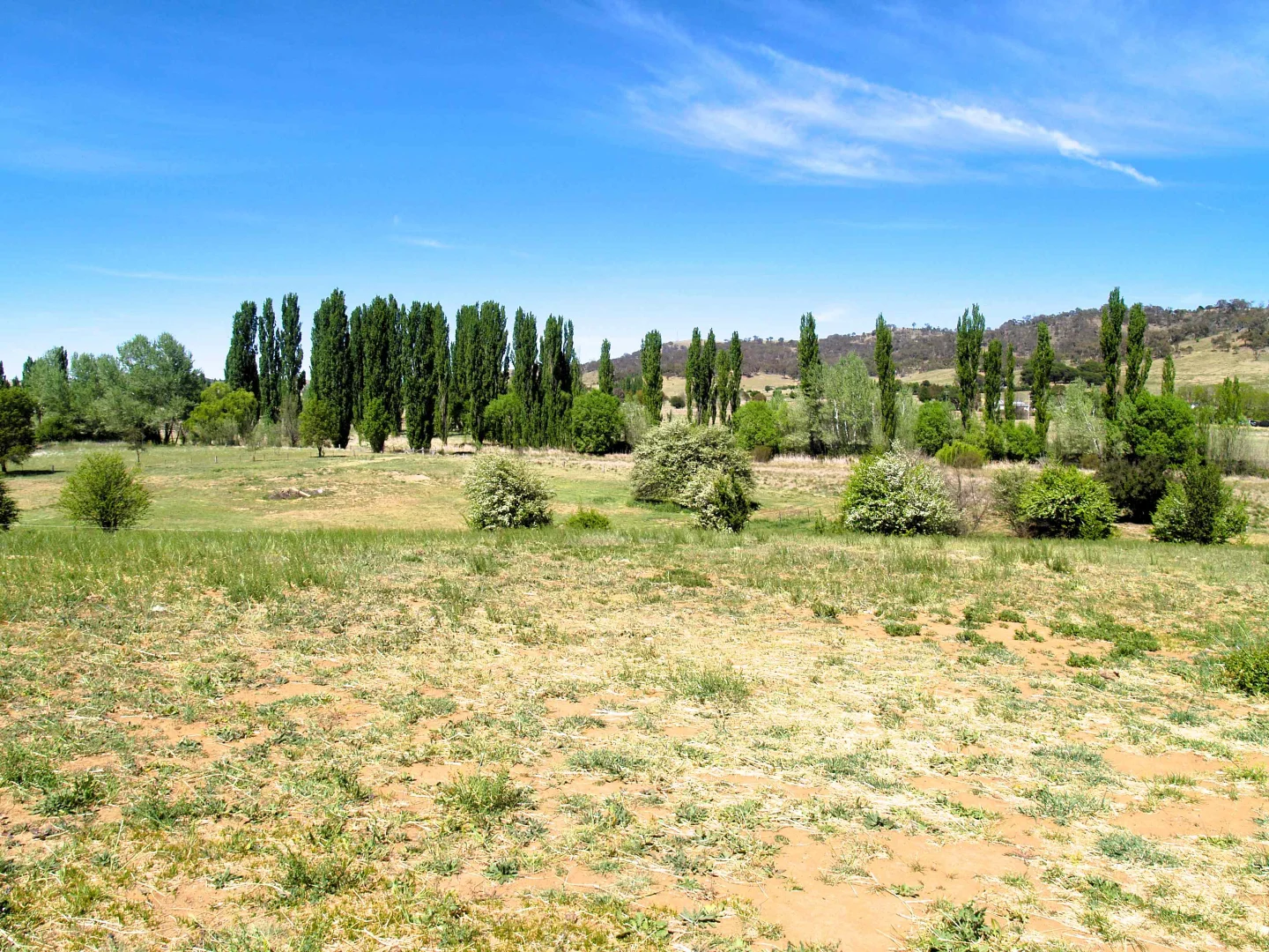 Additional image 11 of 28 Ryrie Street, Michelago NSW 2620