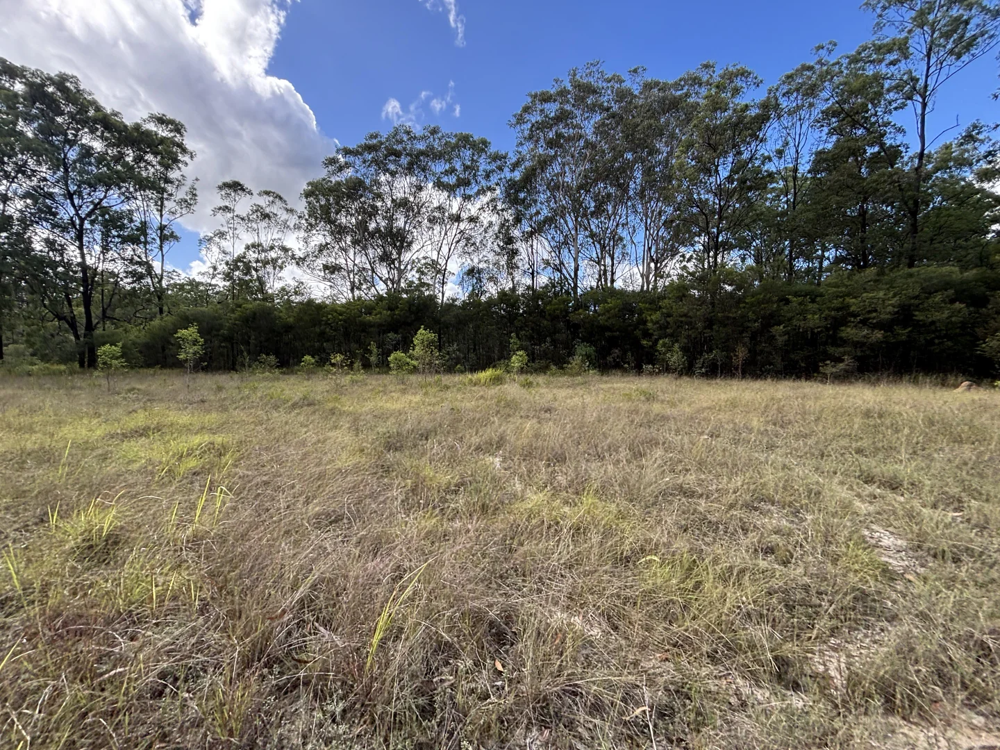 Additional image 19 of 337 Clearview Road, Coutts Crossing NSW 2460