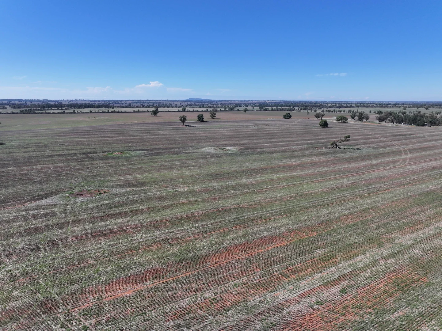 Additional image 13 of Shannonvale & Elmore Strontian Road, Boree Creek NSW 2652