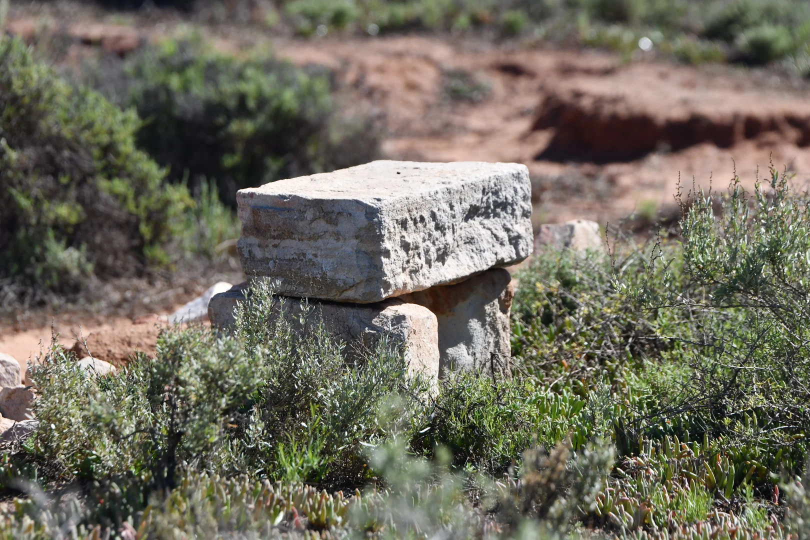 Additional image 8 of 38 Samphire Road, Port Germein SA 5495