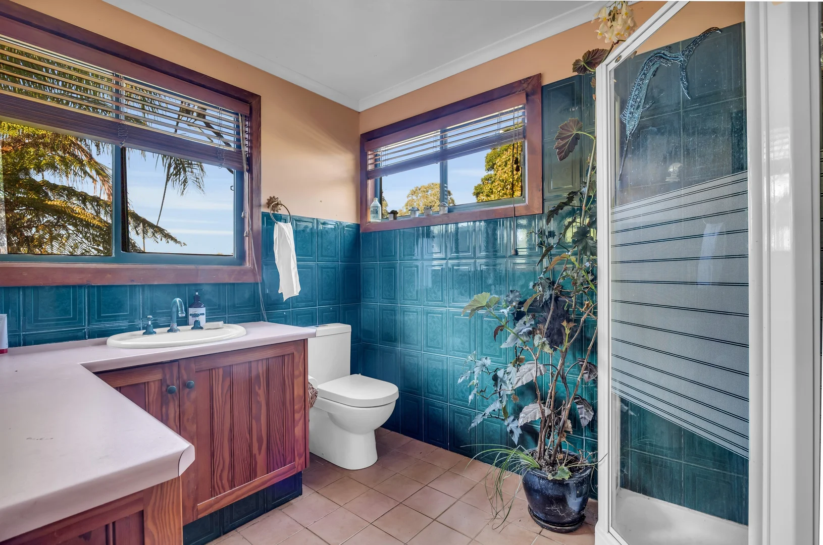 Additional image 8 of 59 Avernus Street, Cobargo NSW 2550