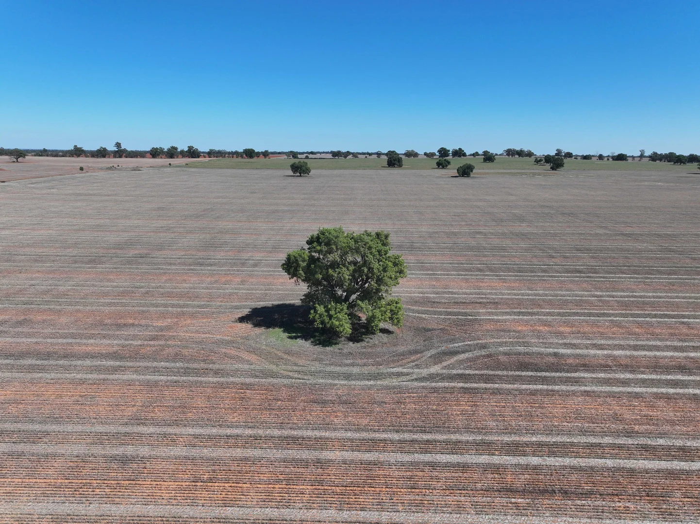 Additional image 5 of Shannonvale & Elmore Strontian Road, Boree Creek NSW 2652