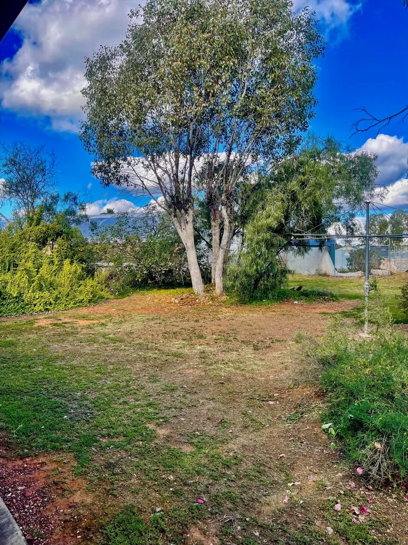 Additional image 17 of 2 Red Robin Street, Lightning Ridge NSW 2834