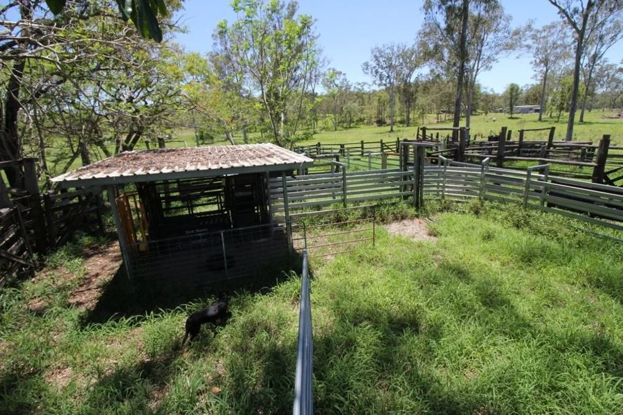 Additional image 32 of 45 Sheahan Road, Berajondo QLD 4674