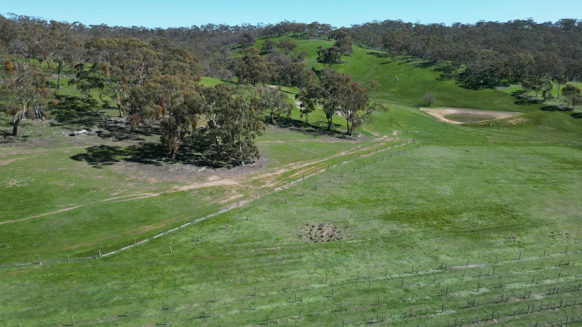 Additional image 16 of 97 McCord Lane, Gillentown SA 5453