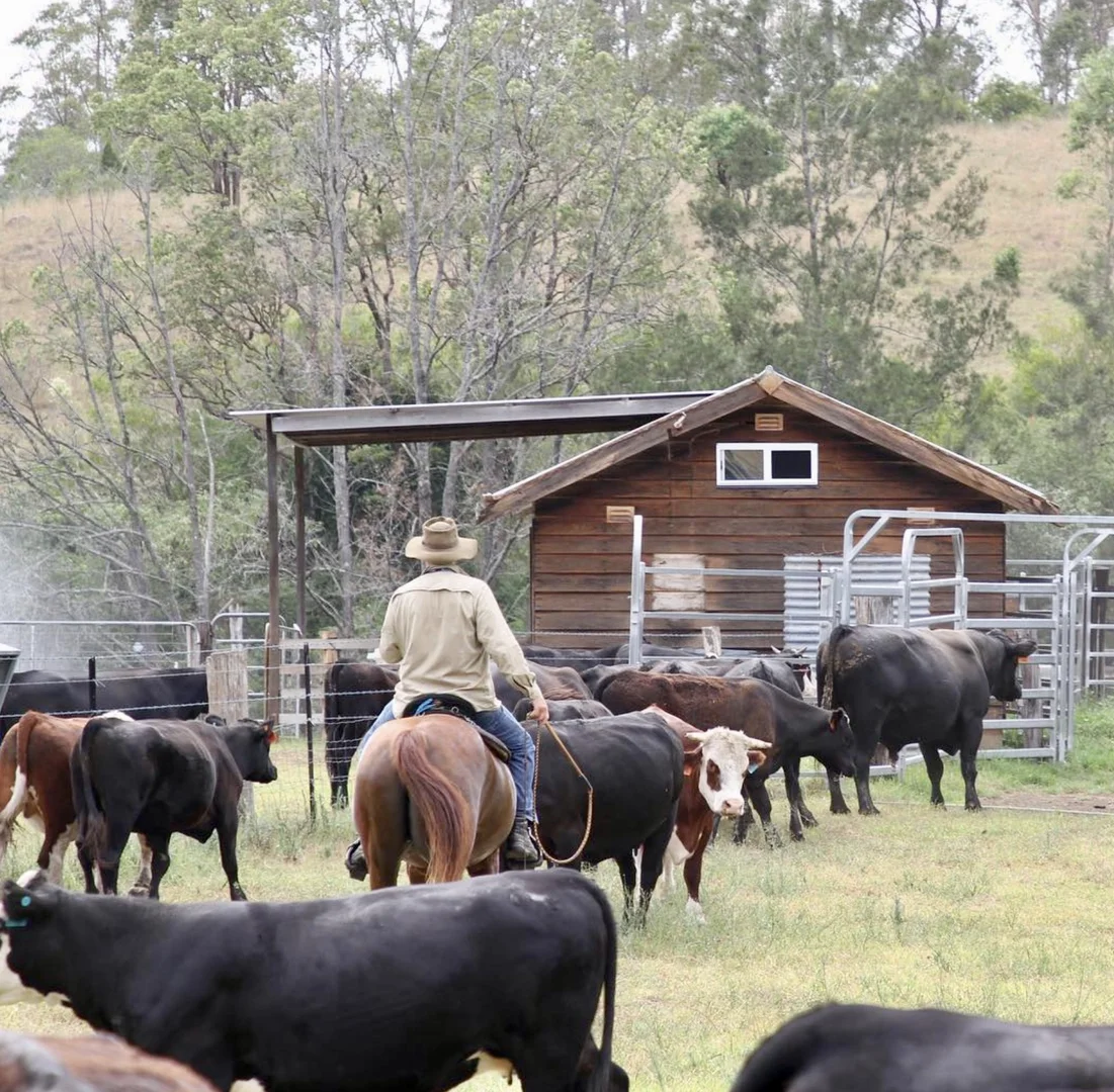 Additional image 23 of 689 Manchester Road, Via Gloucester, Bindera NSW 2422