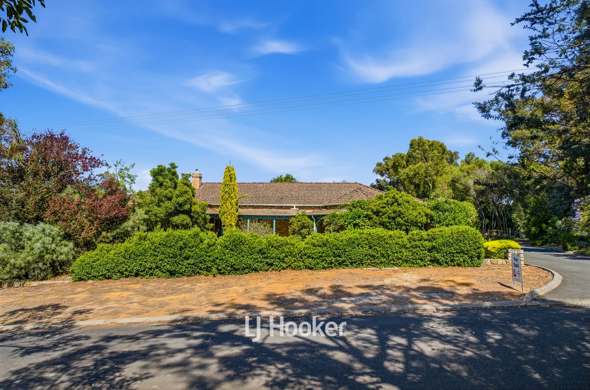 Additional image 34 of 305 Steere Street North, Collie WA 6225