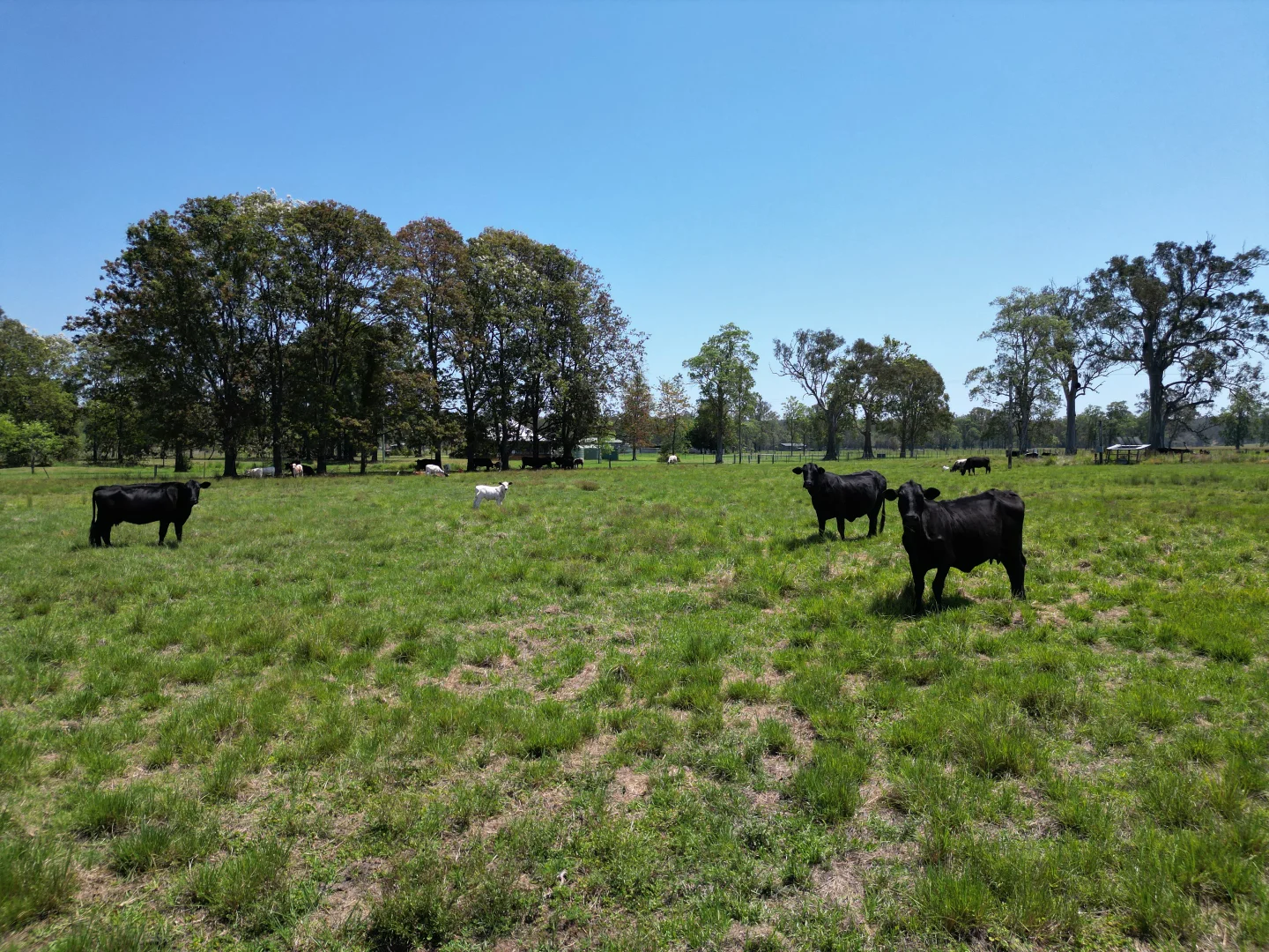 Additional image 13 of 140 Hogarth Range Road, Mongogarie NSW 2470