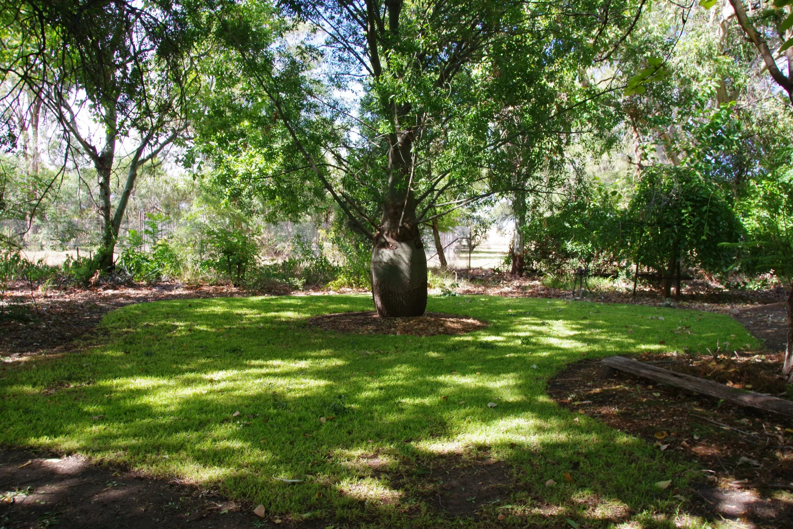 Additional image 21 of 696 Murrumbilla Lane, Narrabri NSW 2390