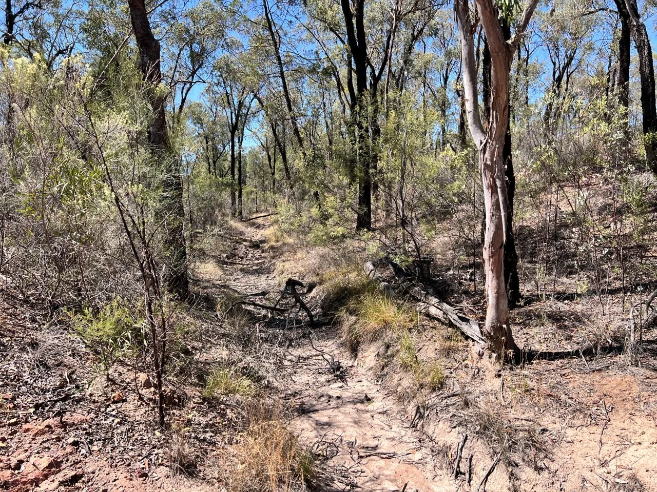 Additional image 13 of 47R Lagoon Creek Road, Minore NSW 2830