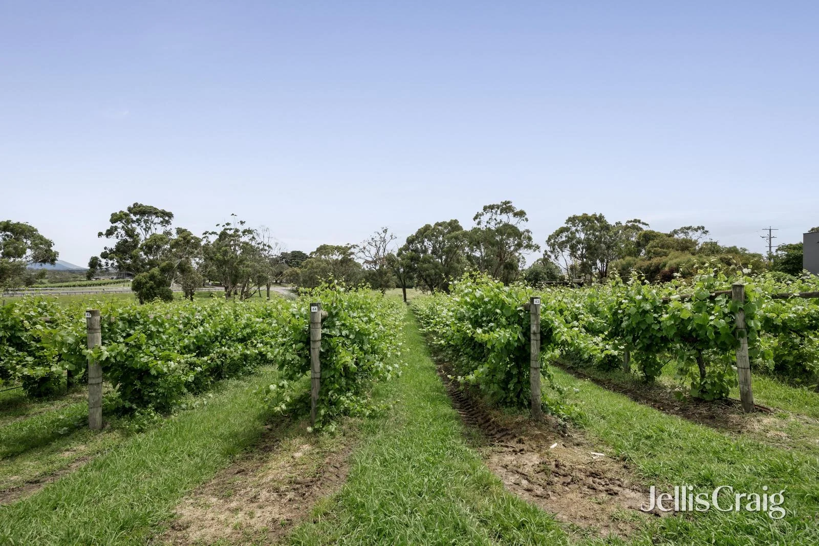 Additional image 21 of 2 Maxwells Road, Coldstream VIC 3770