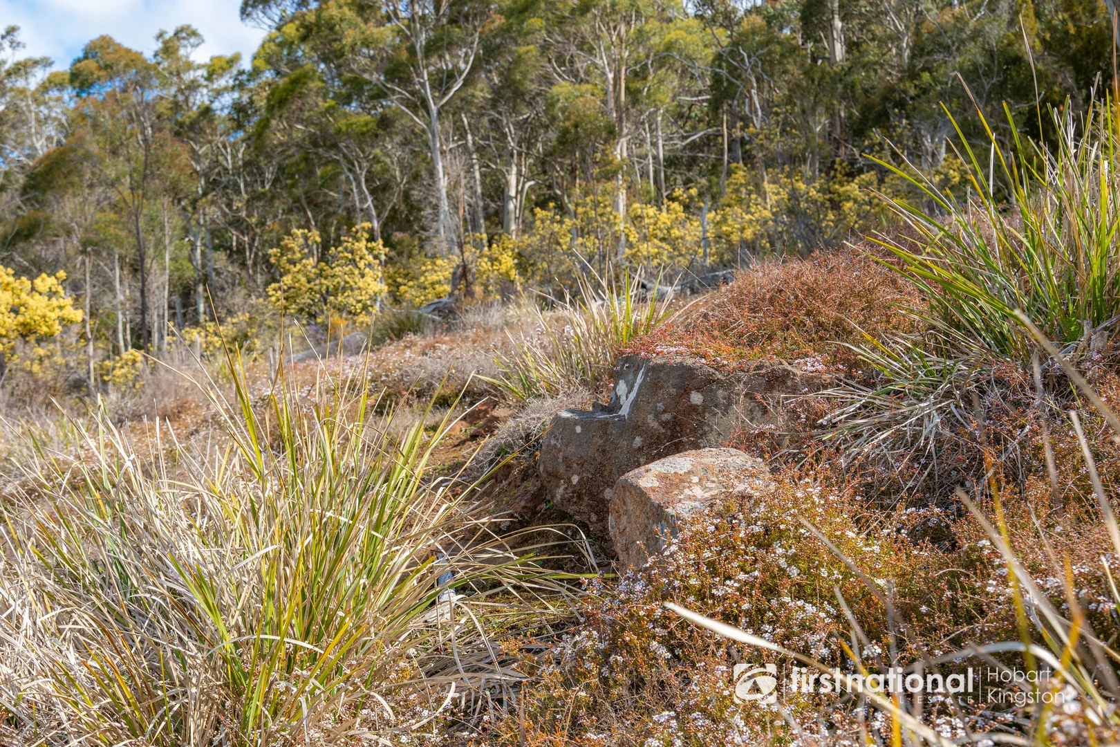 Additional image 19 of Krauses Road, Lower Longley TAS 7109