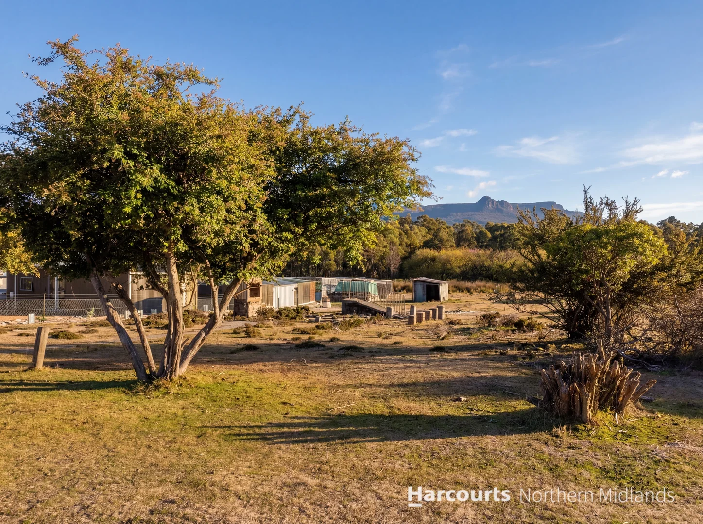 Additional image 7 of 7 Walter Street, Rossarden TAS 7213
