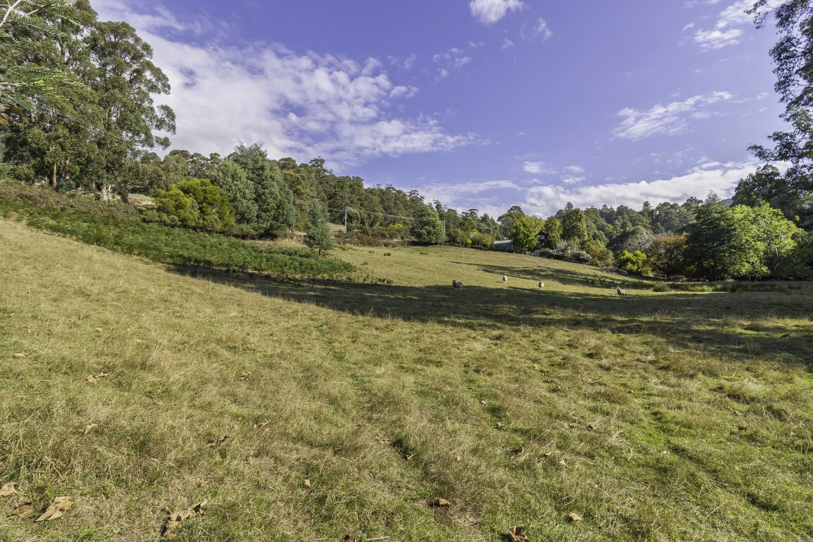 Additional image 26 of 210 Nicholls Rivulet Road, Oyster Cove TAS 7150