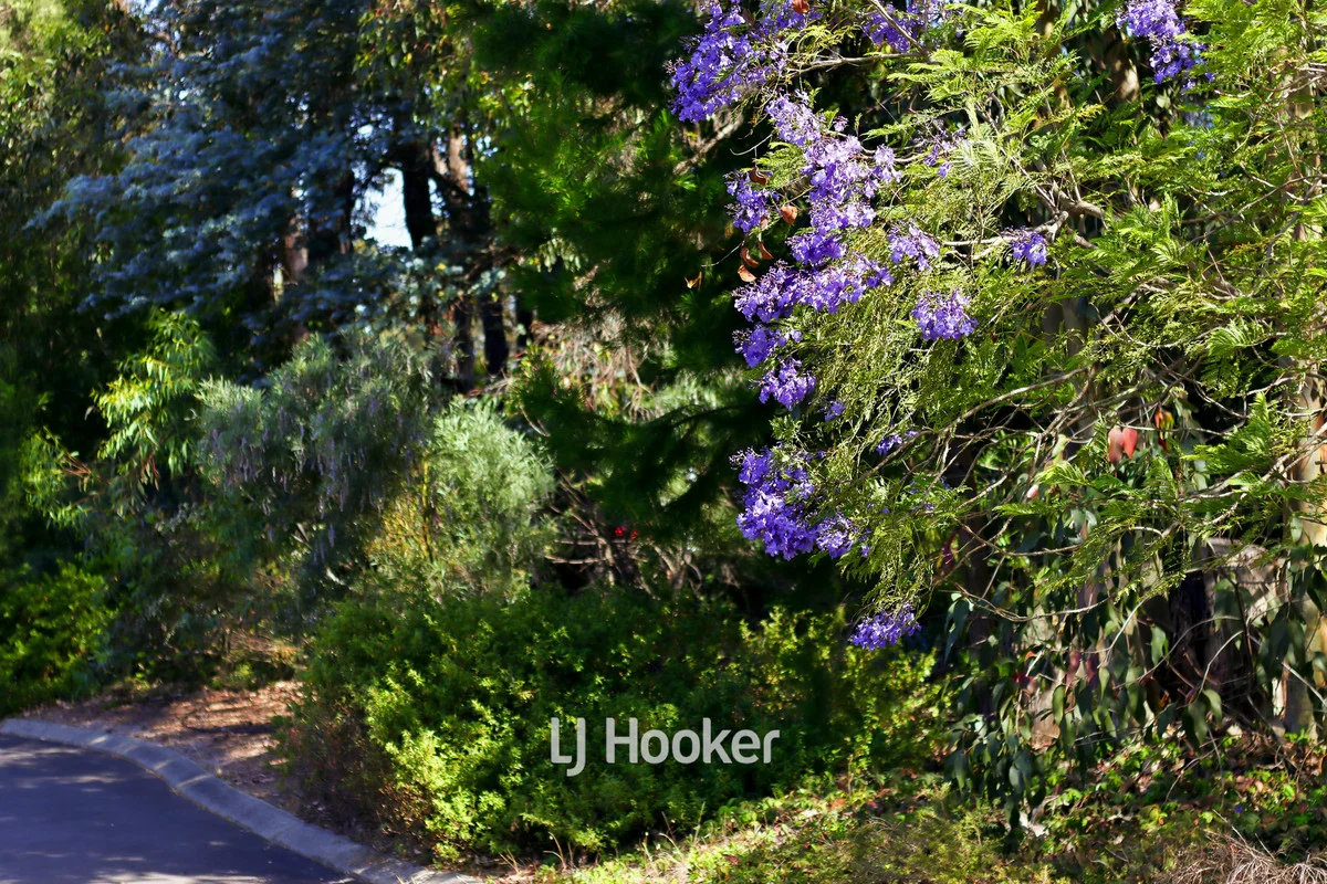 Additional image 36 of 305 Steere Street North, Collie WA 6225