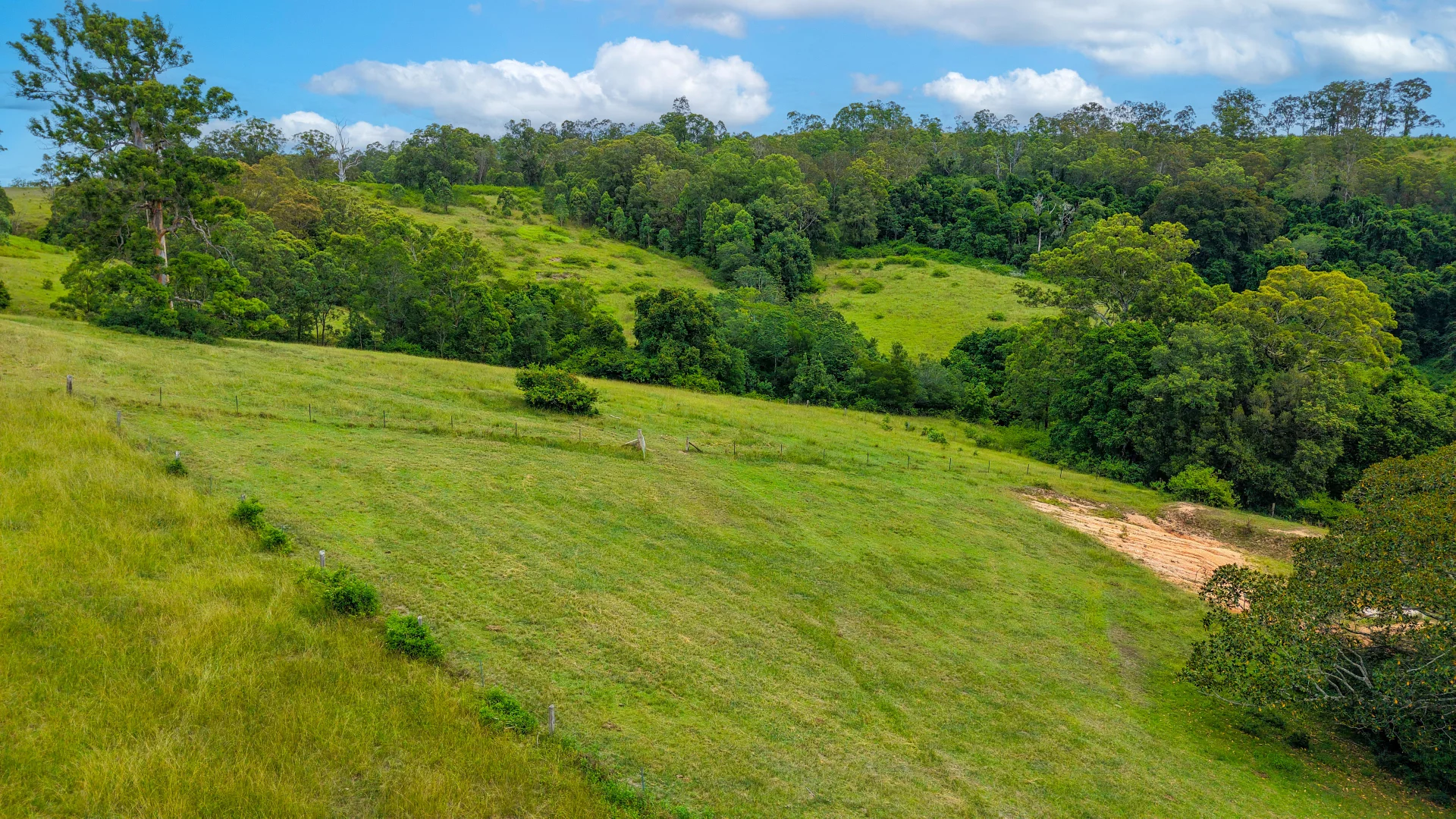 Additional image 21 of 198 Bow Hill Road, Dollys Flat NSW 2429