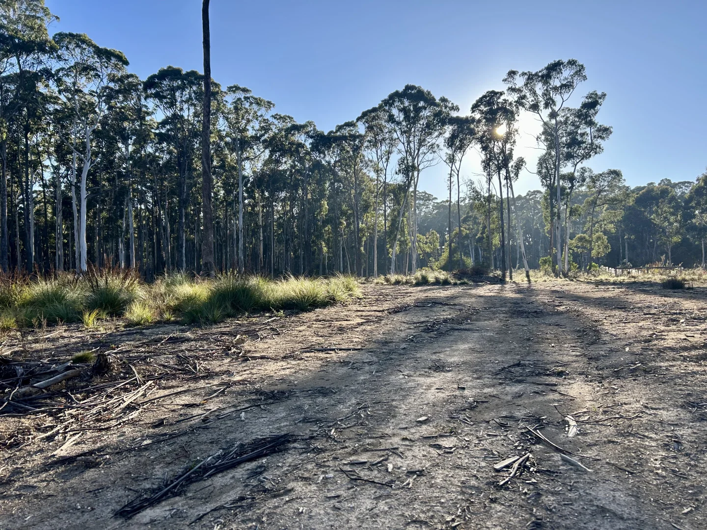 Additional image 6 of 175 Blighs Road, Trentham VIC 3458