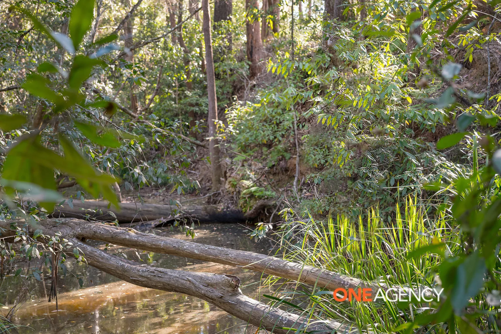 Additional image 3 of 48 Bluewater Close, Wauchope NSW 2446