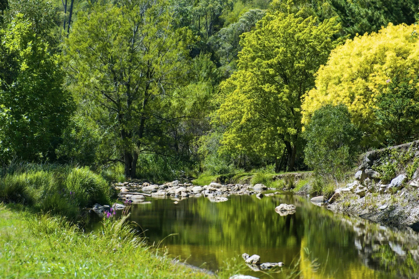 Additional image 6 of 17 Micalong Close, Wee Jasper NSW 2582