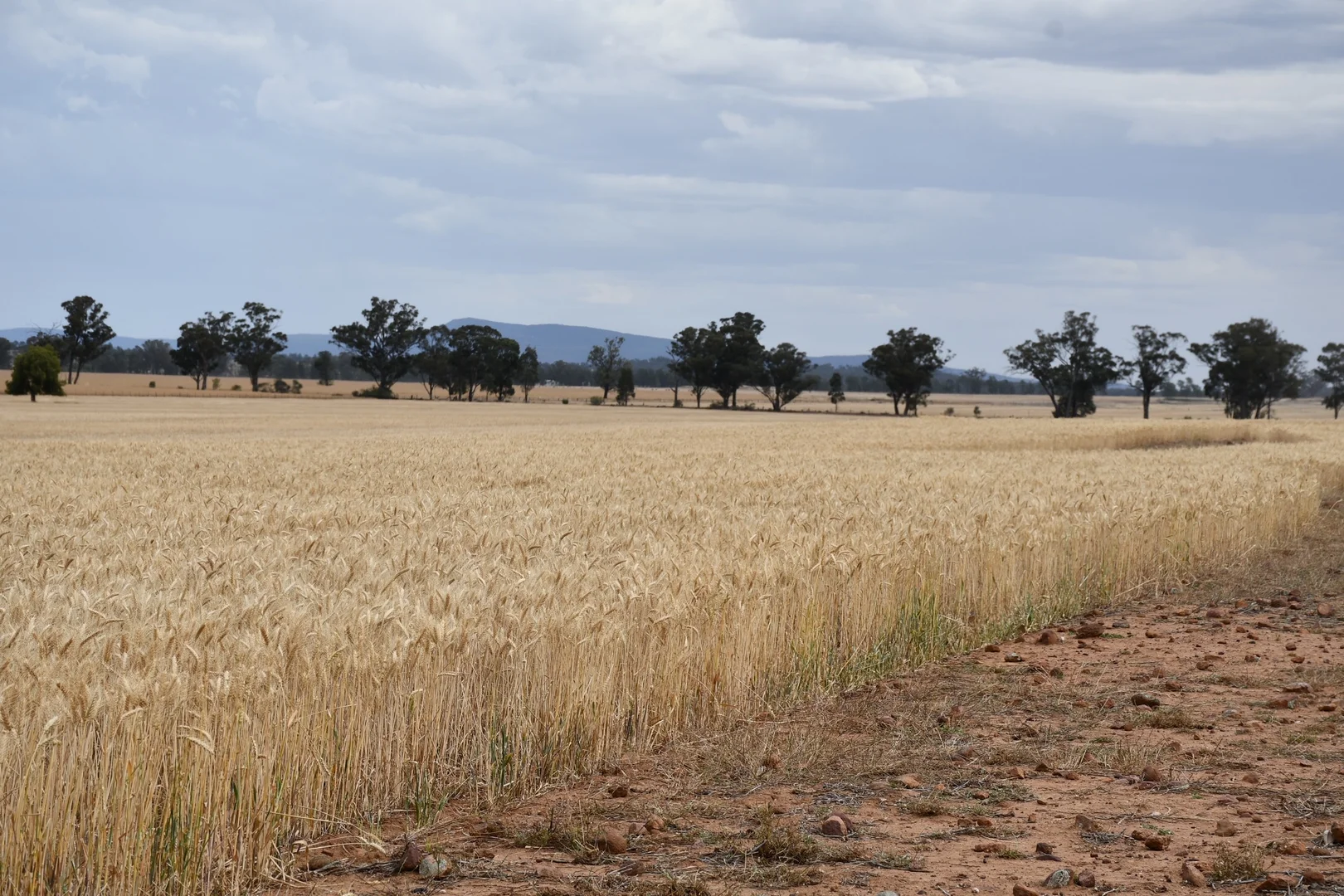 Additional image 11 of 179 Mittons Lane 'Lorna Doone', Pinnacle NSW 2810