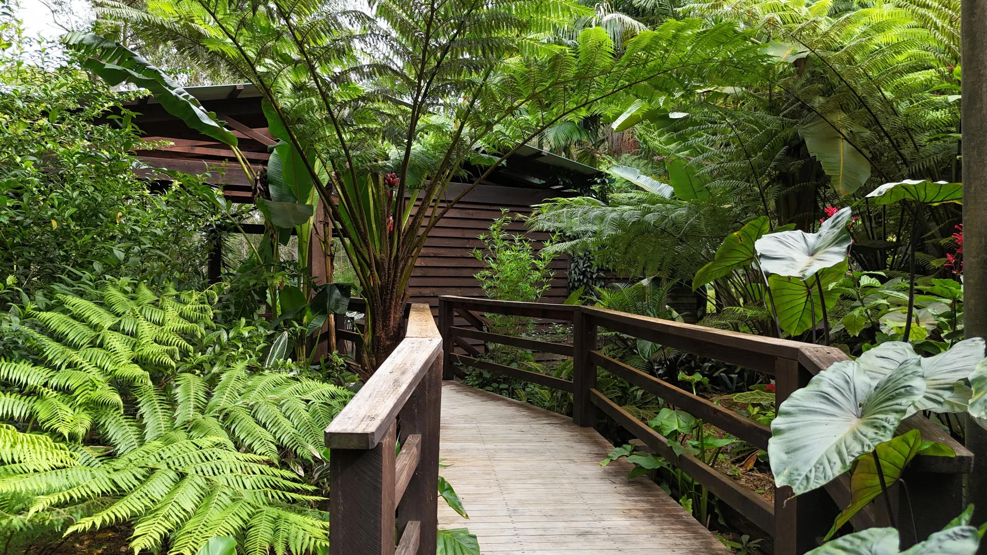 Additional image 29 of 59 Sea Acres Drive, Long Beach NSW 2536