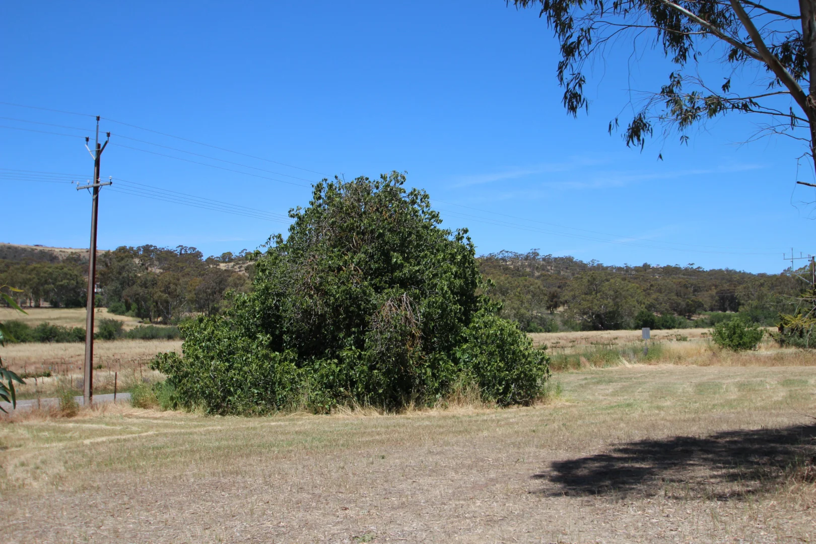 Additional image 10 of Lt 119/120 St Georges Terrace, Armagh SA 5453