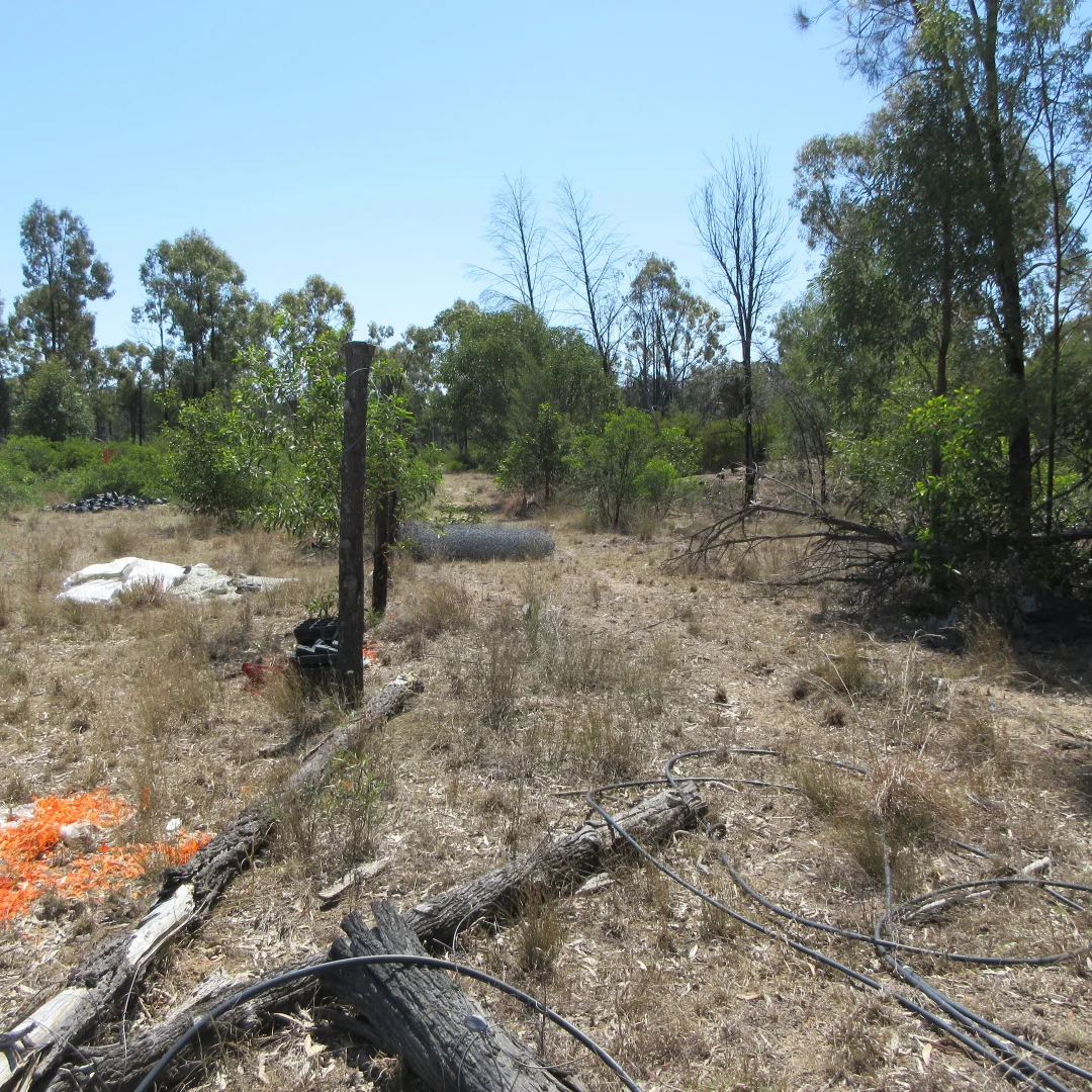 Additional image 4 of 129 Miegunyah Court, Tara QLD 4421