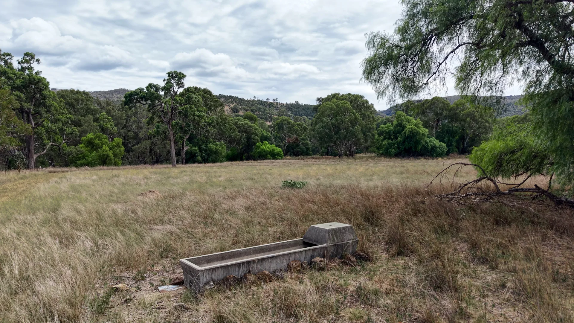 Additional image 6 of 1213 Mole River Road, Tenterfield NSW 2372