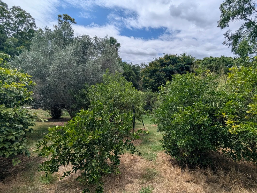 Additional image 62 of 1348 Flagstone Creek Road, Flagstone Creek QLD 4344