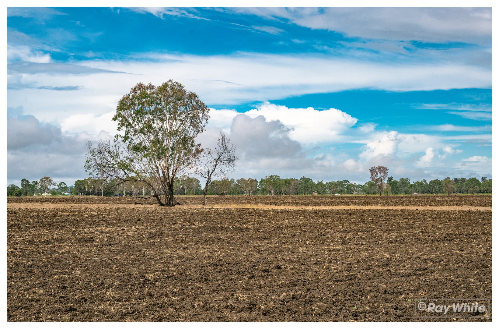 Additional image 4 of 253 Hunt Road, Alton Downs QLD 4702